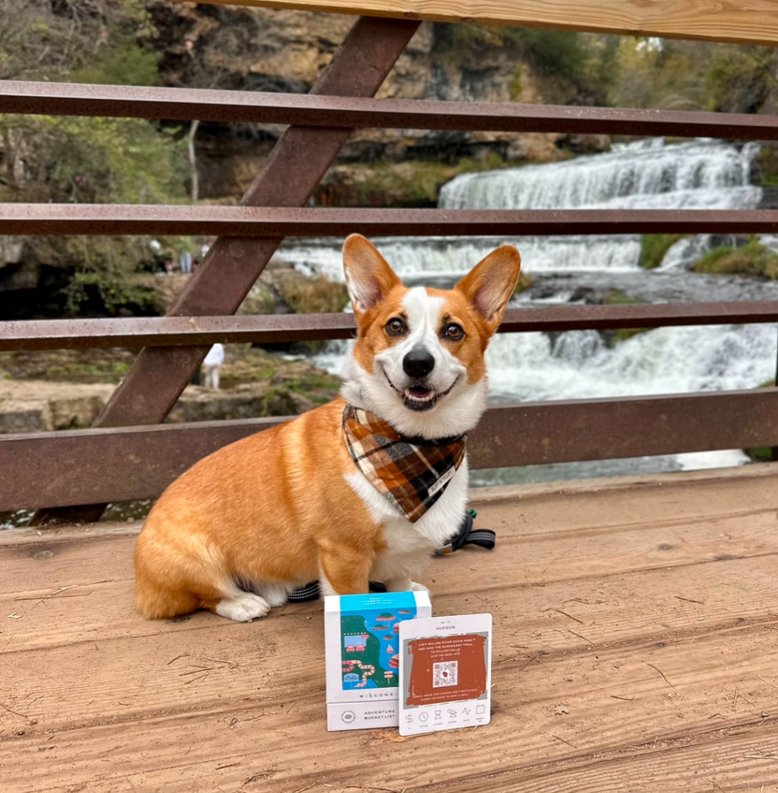 South Dakota Brunch Bucket List Cards