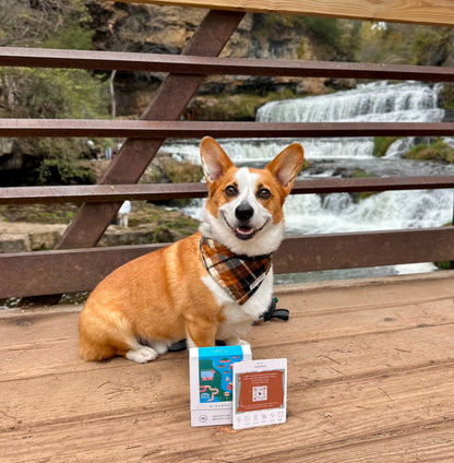 South Dakota Brunch Bucket List Cards